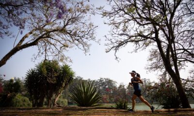 Crédito: Divulgação/Governo de SP